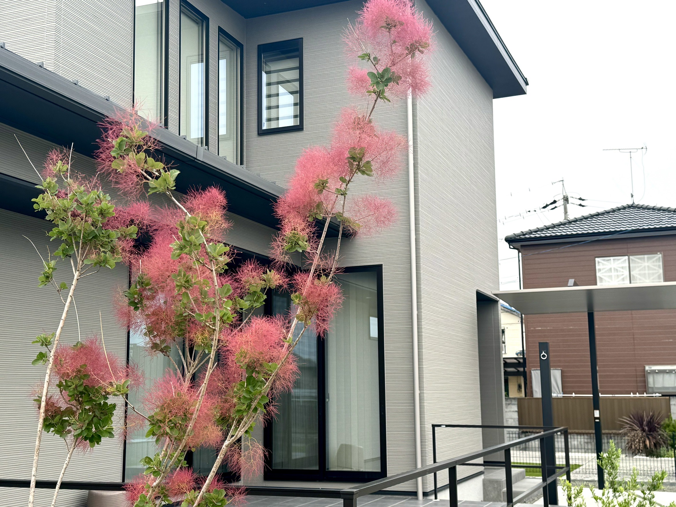 静岡県焼津市塩津Y様邸