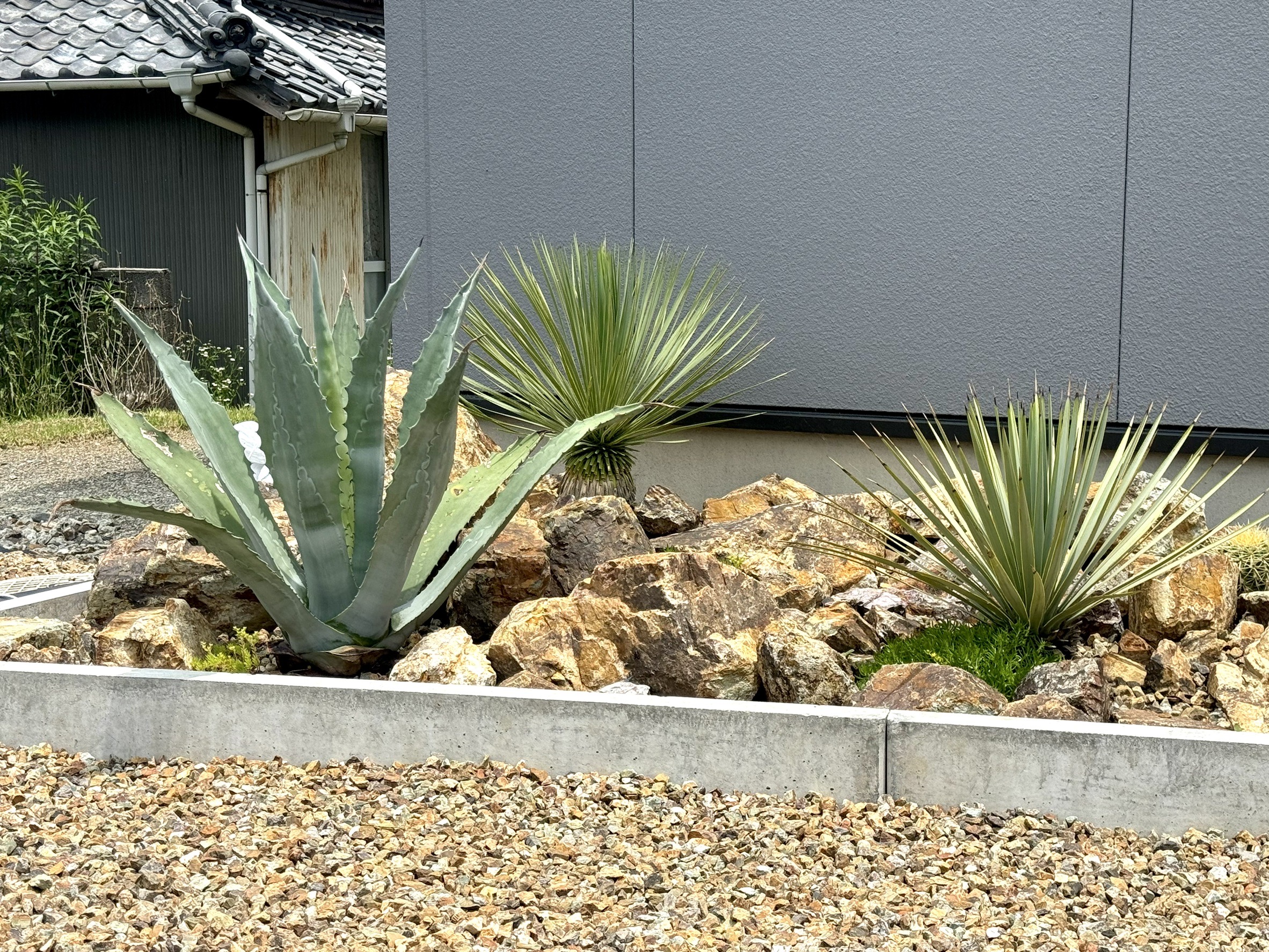 植栽