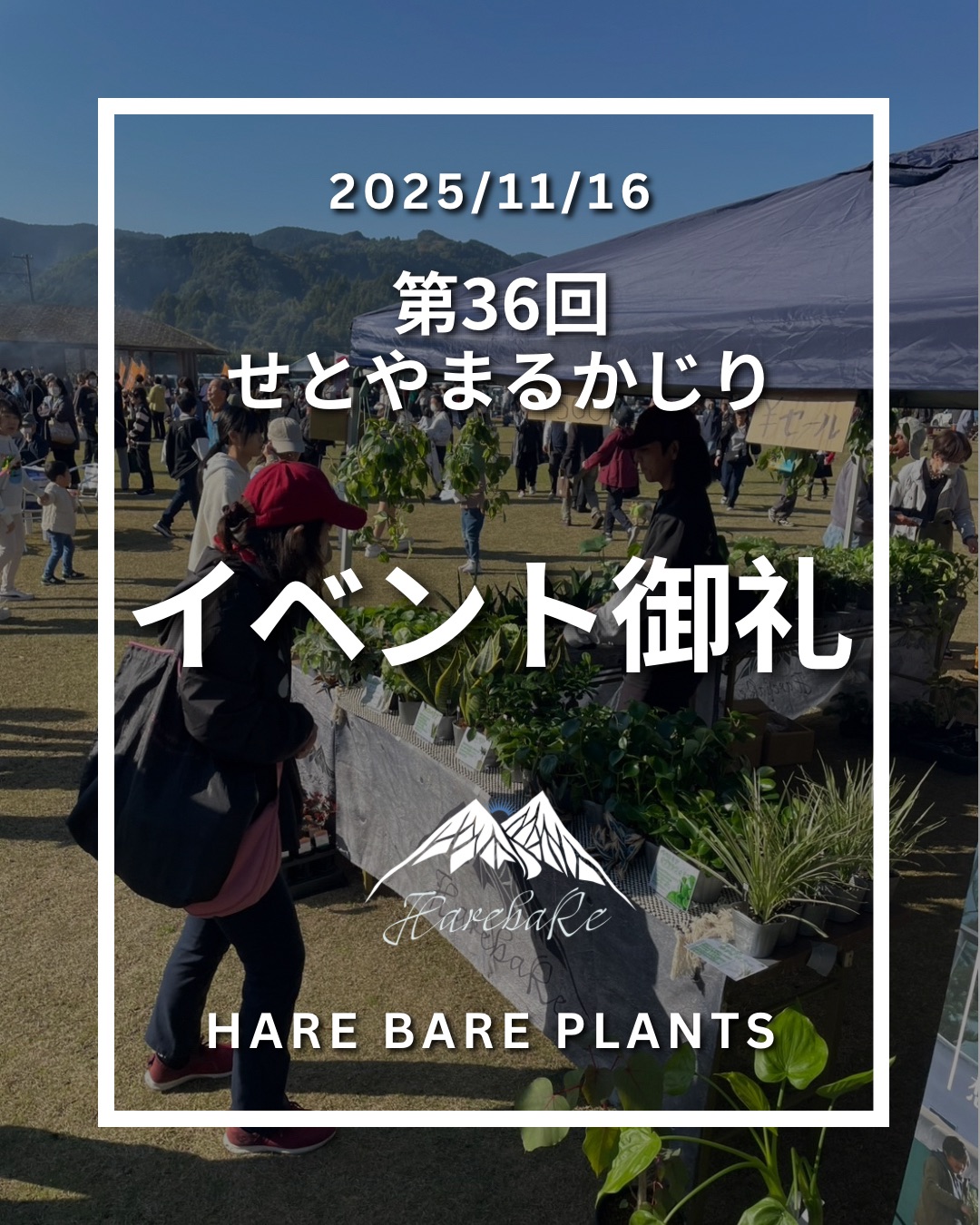 Hare Bare Plants:せとやまるかじりイベント御礼