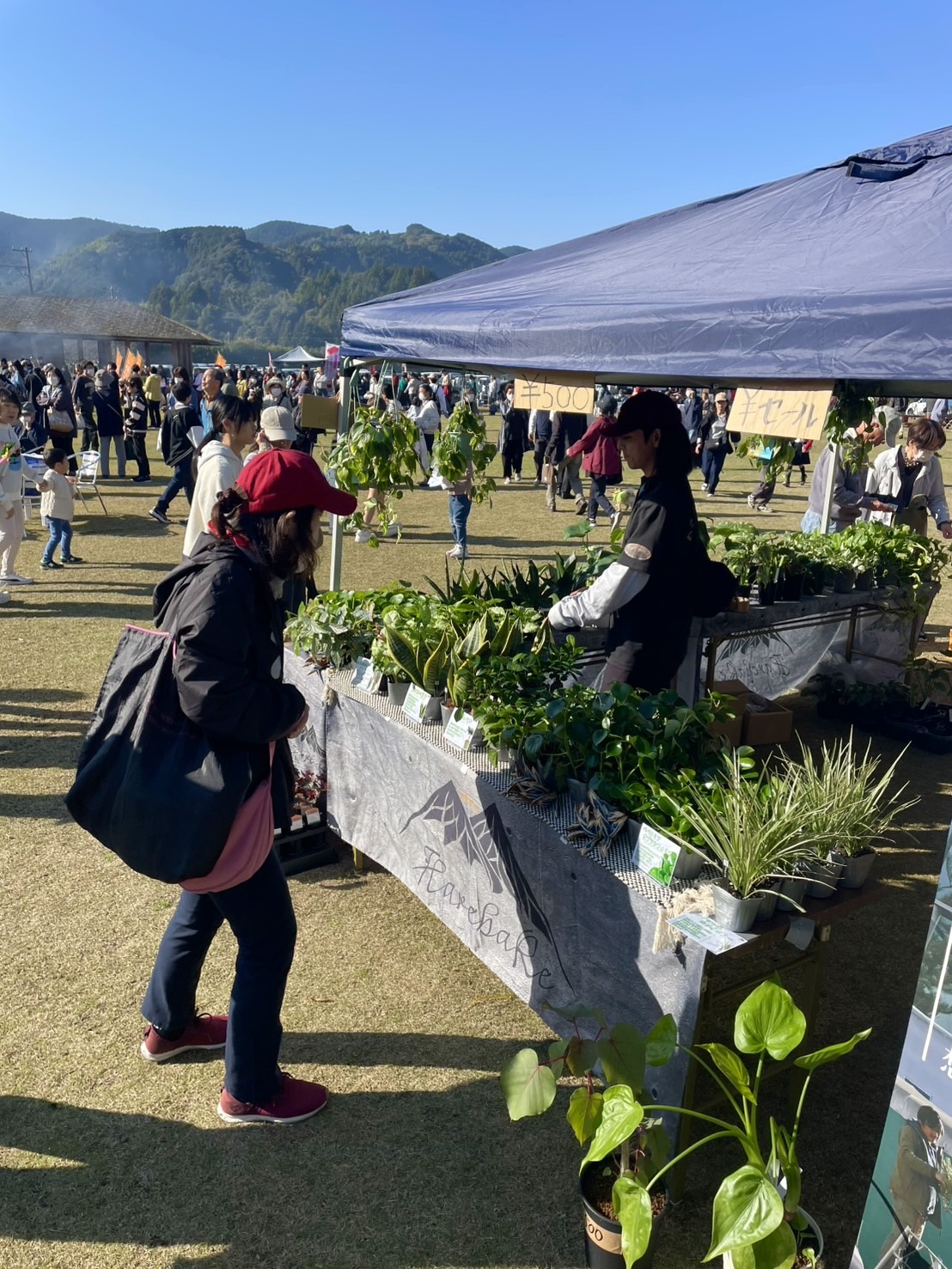 Hare Bare Plants:せとやまるかじりイベント御礼