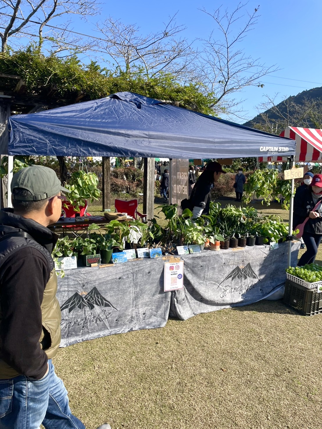 Hare Bare Plants:せとやまるかじりイベント御礼